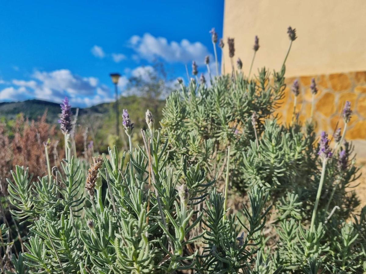 Finca Llambrich L'Ametlla de Mar Exterior foto